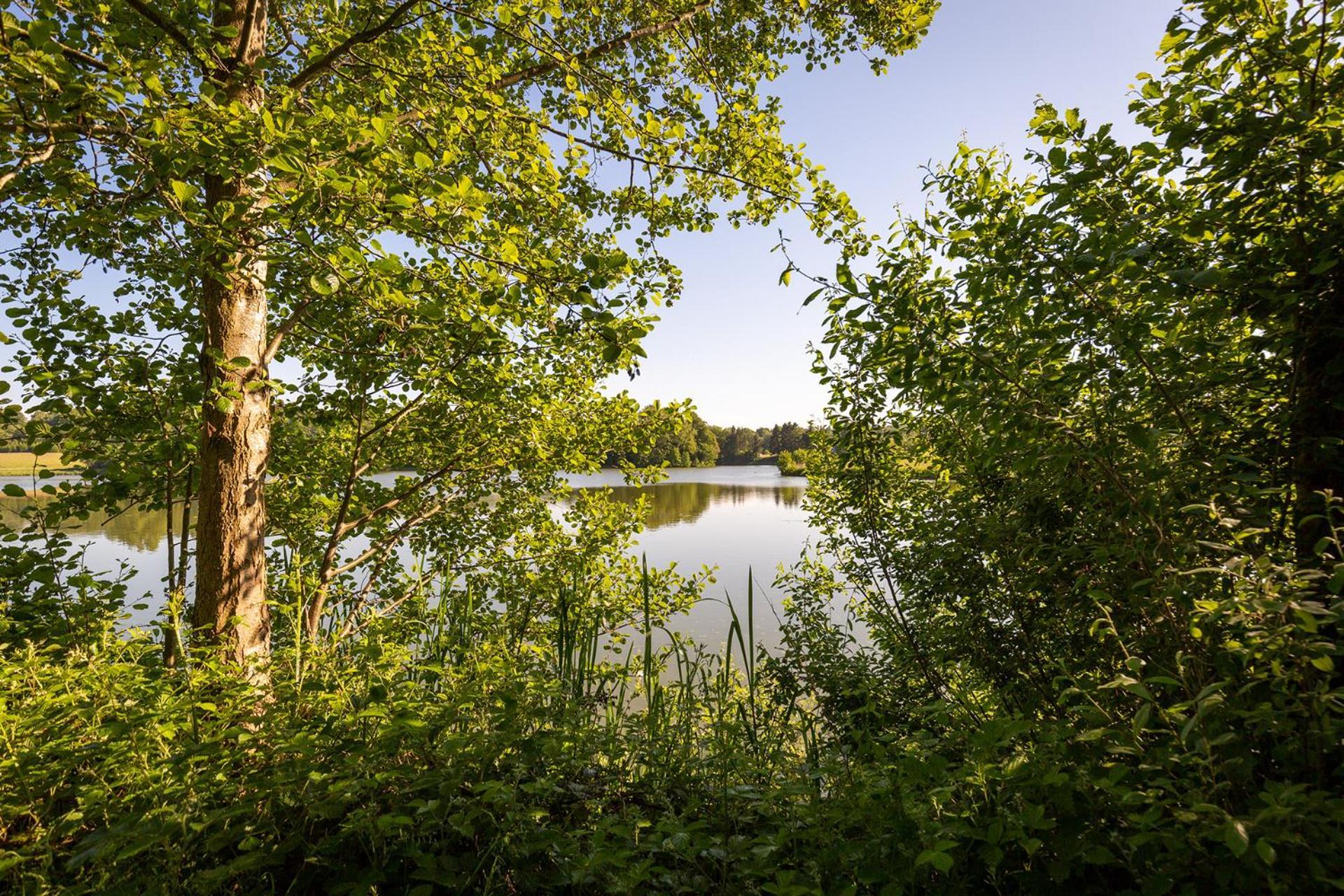 Ferienhaus Am Moenchneversdorfer See Schonwalde am Bungsberg エクステリア 写真