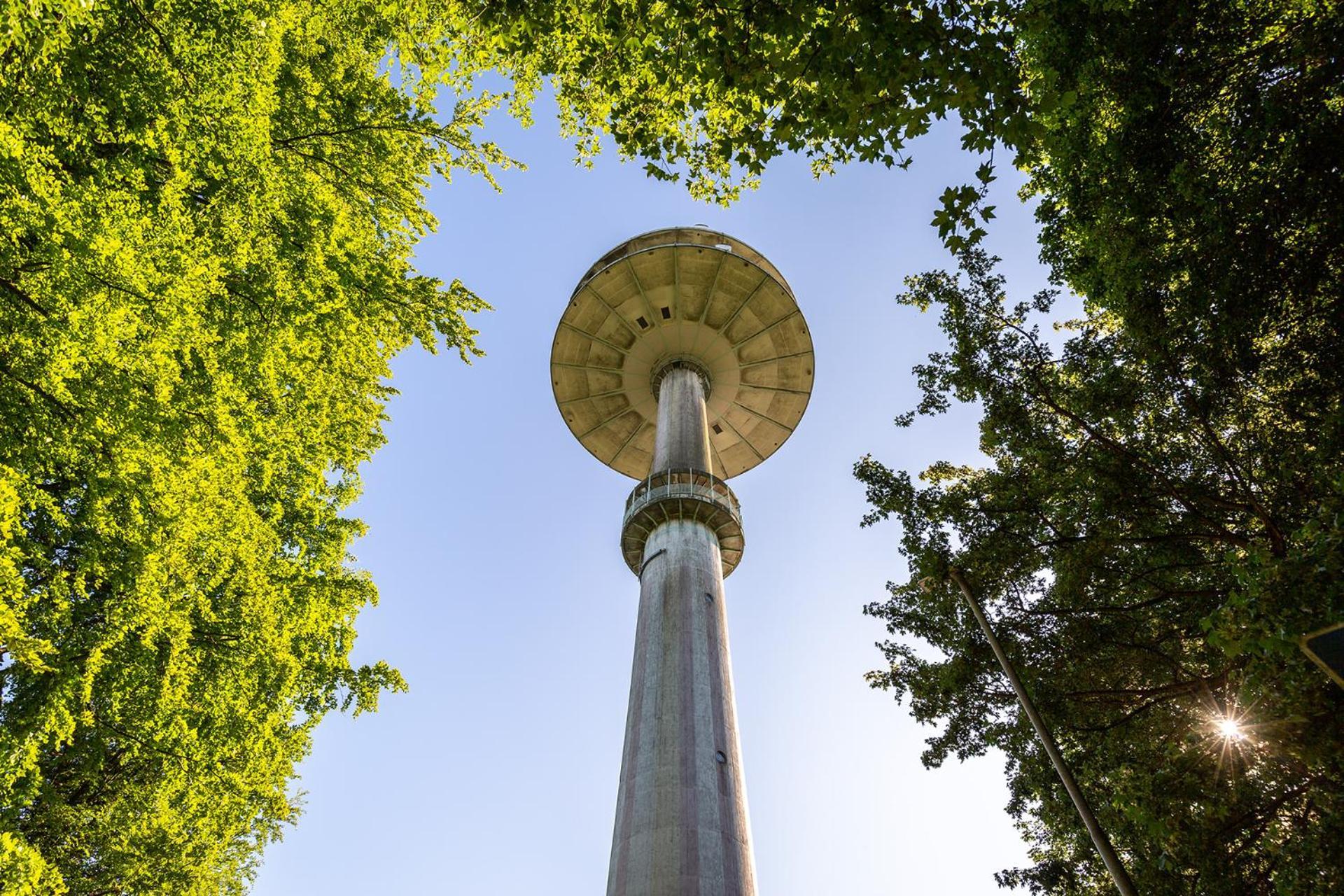Ferienhaus Am Moenchneversdorfer See Schonwalde am Bungsberg エクステリア 写真